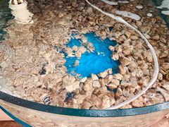 -晓伟海鲜家常菜