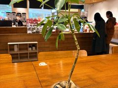 -煮叶(悠唐广场店)