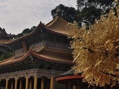 -广东圆玄道观