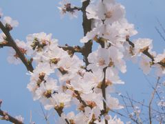 -杭州城北体育公园