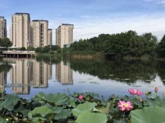 -新江湾城公园