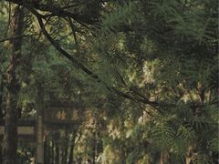 -昆明市金殿名胜区