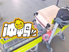 -广州白云国际机场-T2航站楼