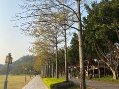 -顺峰山公园