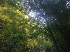 -帆荣农庄