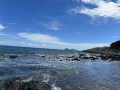 -广东惠东海龟国家级自然保护区