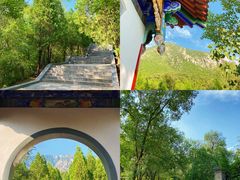 -禅宗少林·音乐大典