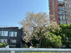 -苏州河梦清园环保主题公园