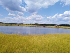 -塞罕坝国家级自然保护区