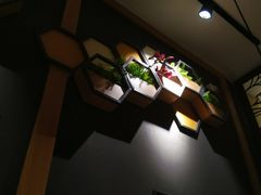 -大同江朝鲜菜•长春地标美食(绿园吾悦广场店)