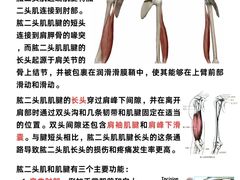 -Dr.stretch·拉伸博士(环球金融中心店)