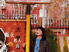 -三里屯东五街银杏大道