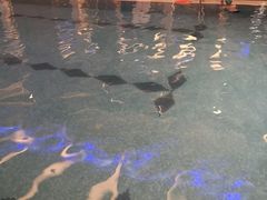-桐庐开元名都大酒店