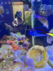 -Zoolung Zoolung动物主题公园(海信广场店)