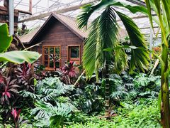 -北京呀路古热带植物园