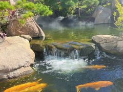 -罗红摄影艺术馆