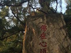 -青芝山风景名胜区