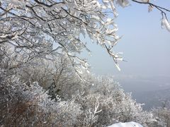 -紫金山索道-售票处