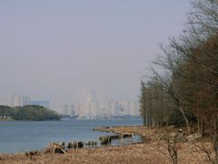 -长广溪湿地公园