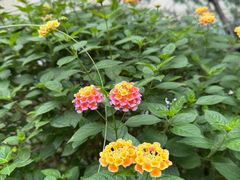 -广州花园酒店