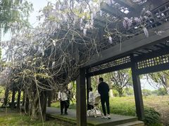 -阳澄湖半岛旅游度假区