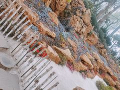-南通洲际绿博园