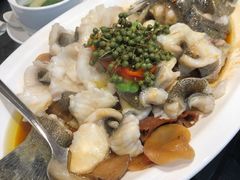 青花椒蒸龙胆鱼-闽和南(深圳万象城店)