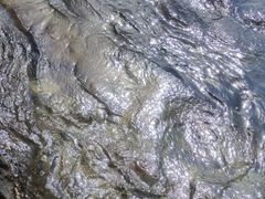 -西涌国际滨海旅游区