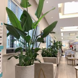 -上海首尔丽格医疗美容医院
