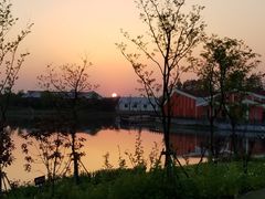 -上海长兴岛郊野公园