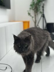 -允·여성헤어女发工作室