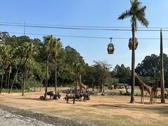-广州长隆野生动物世界