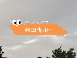 -侨治发型