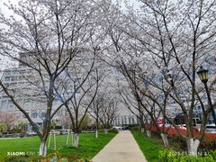 -博雅酒店-中餐厅