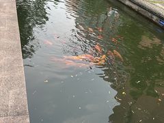 -杭州电子科技大学(下沙校区)