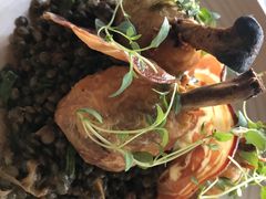 -LOFT Gastrogrill
