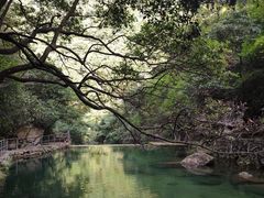 -白云源风景区