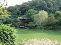 景点-云溪植物园