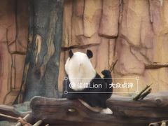 -泉州海丝野生动物世界