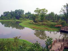 -桤木河湿地公园