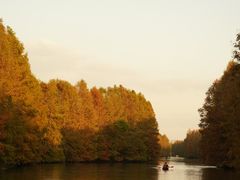 -上海海湾国家森林公园