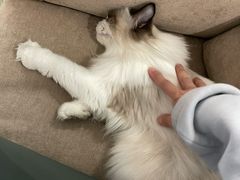 -iF摄影•全家福•证件照•形象照(南山店)