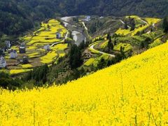 -新安江山水画廊风景区