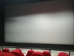 -奥斯卡国际影城(杜比全景声&4D激光店)