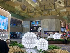 -樟宜机场免税店
