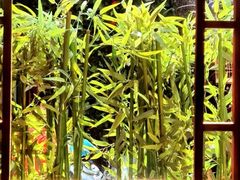 -丽江庭院·云南野生菌·海鲜火锅(鼓楼四合院店)