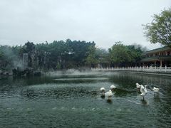-广东圆玄道观