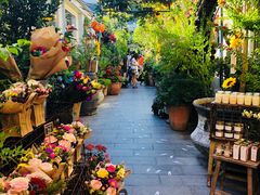 -The Grounds of Alexandria