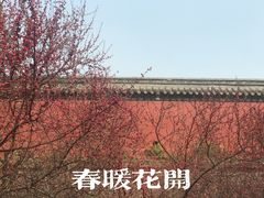 -北陵公园