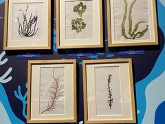 -浙江自然博物院(杭州馆)